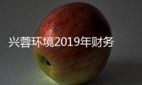 兴蓉环境2019年财务报告分析：未来水务市场机遇与挑战并存