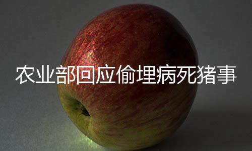 农业部回应偷埋病死猪事件：严查违法违规行为