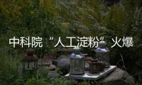 中科院“人工淀粉”火爆全网！碳中和背景下，合成生物学催生千亿美元市场