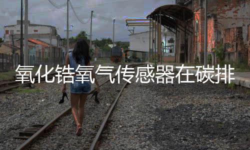 氧化锆氧气传感器在碳排放自动监测系统中的应用